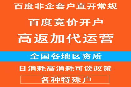 网络推广中的竞价广告：成功案例解析